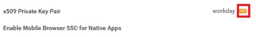 A screen capture of the Create x509 Private Key configuration section. The x509 Private key pair name has the entry of workday with a menu icon. The menu icon is highlighted.