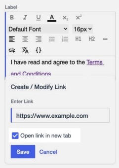 A screen capture showing a rich text field containing a link. The 'Open link in new tab' option is selected.
