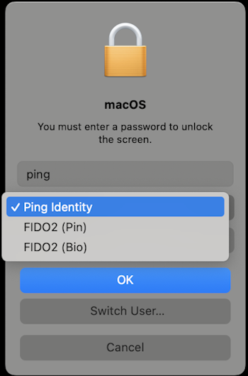 The custom unlock screen that displays the available authentication methods.