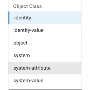 iga glossary object classes