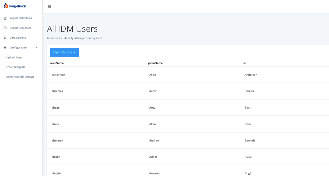 View report of users