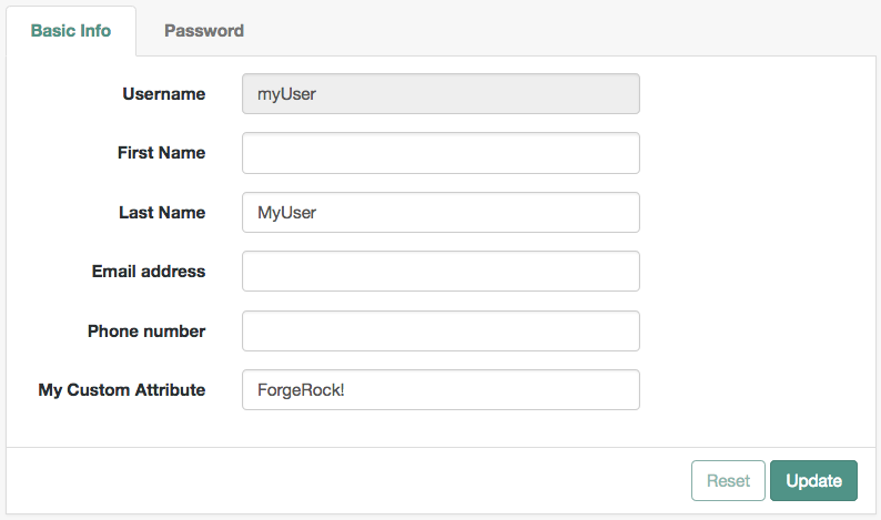 Users are able to read and write the custom attribute value.