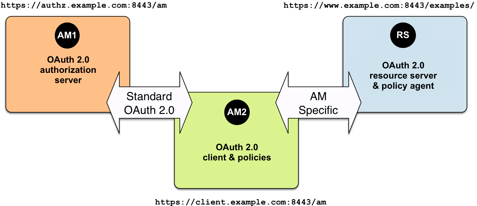 This example uses an authorization server, a client, and a resource server protected with a web agent.