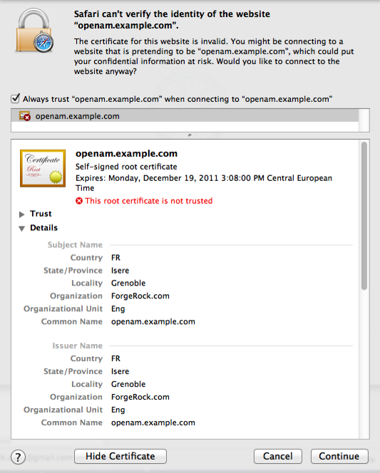 The browser displays pages to let you decide to trust the self-signed certificate.