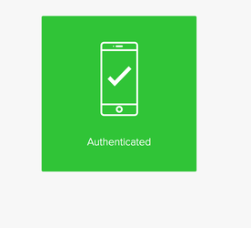 A screen capture showing the green Authenticated success window.