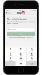 A screen capture of the Manual Authentication window requesting the 12-digit key in the Security Key field.