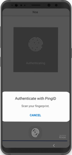 screen capture of the biometrics authentication screen on a mobile device