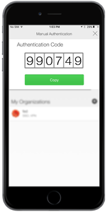 A screen capture of the Authentication Code.