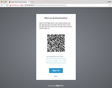 A screen capture of the Manual Authentication message.