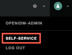 admin UI screenshot showing the self-service link
