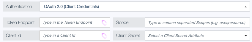 Screen capture showing the Token Endpoint, Scope, Client Id, and Client Secret settings for OAuth 2.0 Client Credentials authentication.