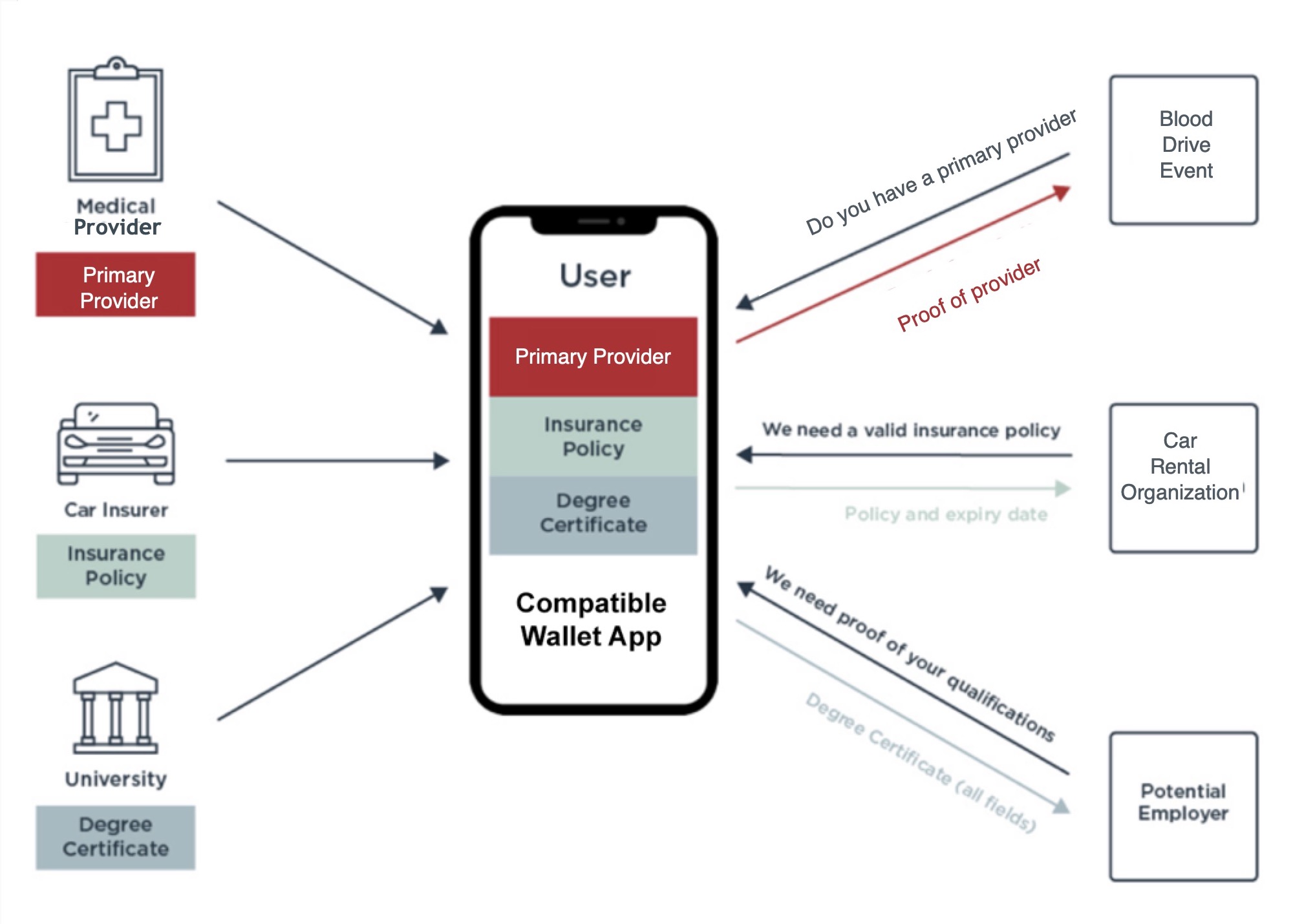 Illustration showing examples of issuers, verifiers and user’s digital wallet app.