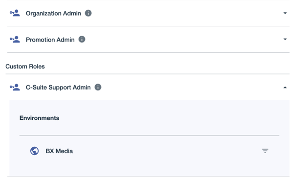 A screen capture of the Custom Roles section in the Roles tab with the C-Suite Support Admin role expanded.