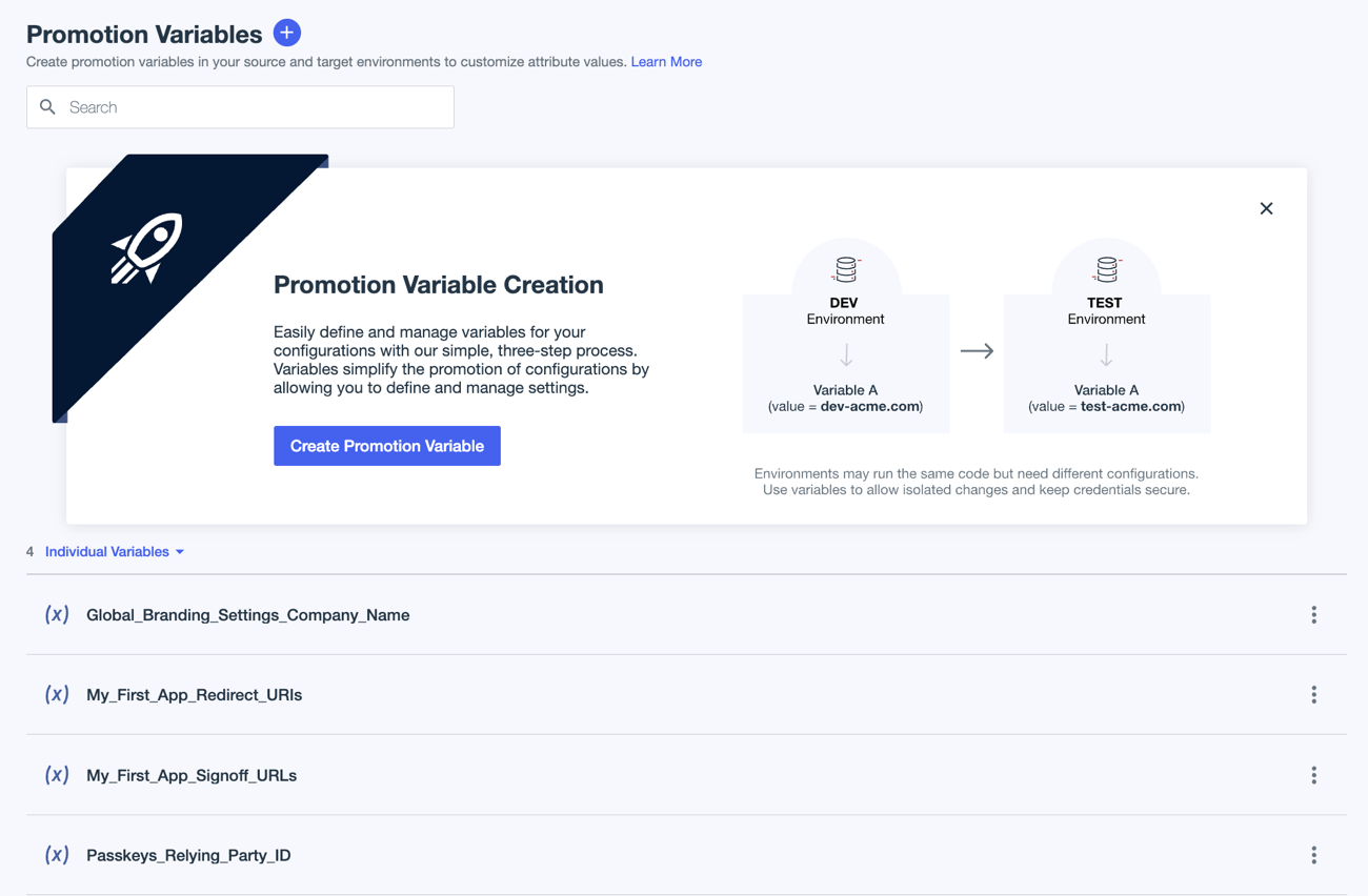 A screen capture of the Promotion Variables page showing the Individual Variables list.