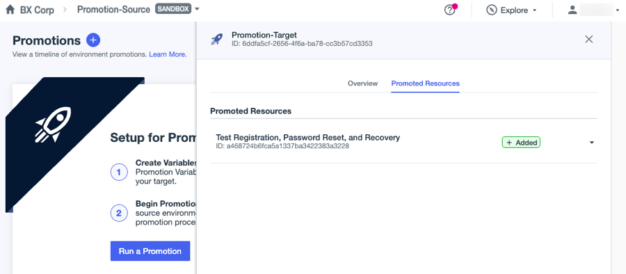 A screenshot of the Promoted Resources tab for the initial promotion of the Test Registration, Password Reset, and Recovery flow.