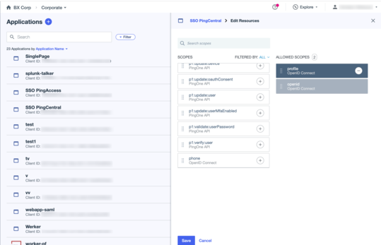 A screen capture of the edit resources panel showing the profile scopes in the list of allowed scopes.