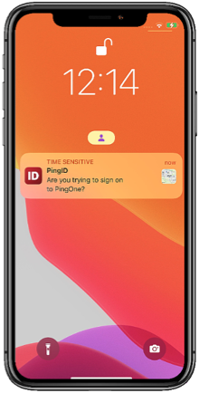 An image of a PingID push notification on an iPhone. The user has the option to approve or deny the request.