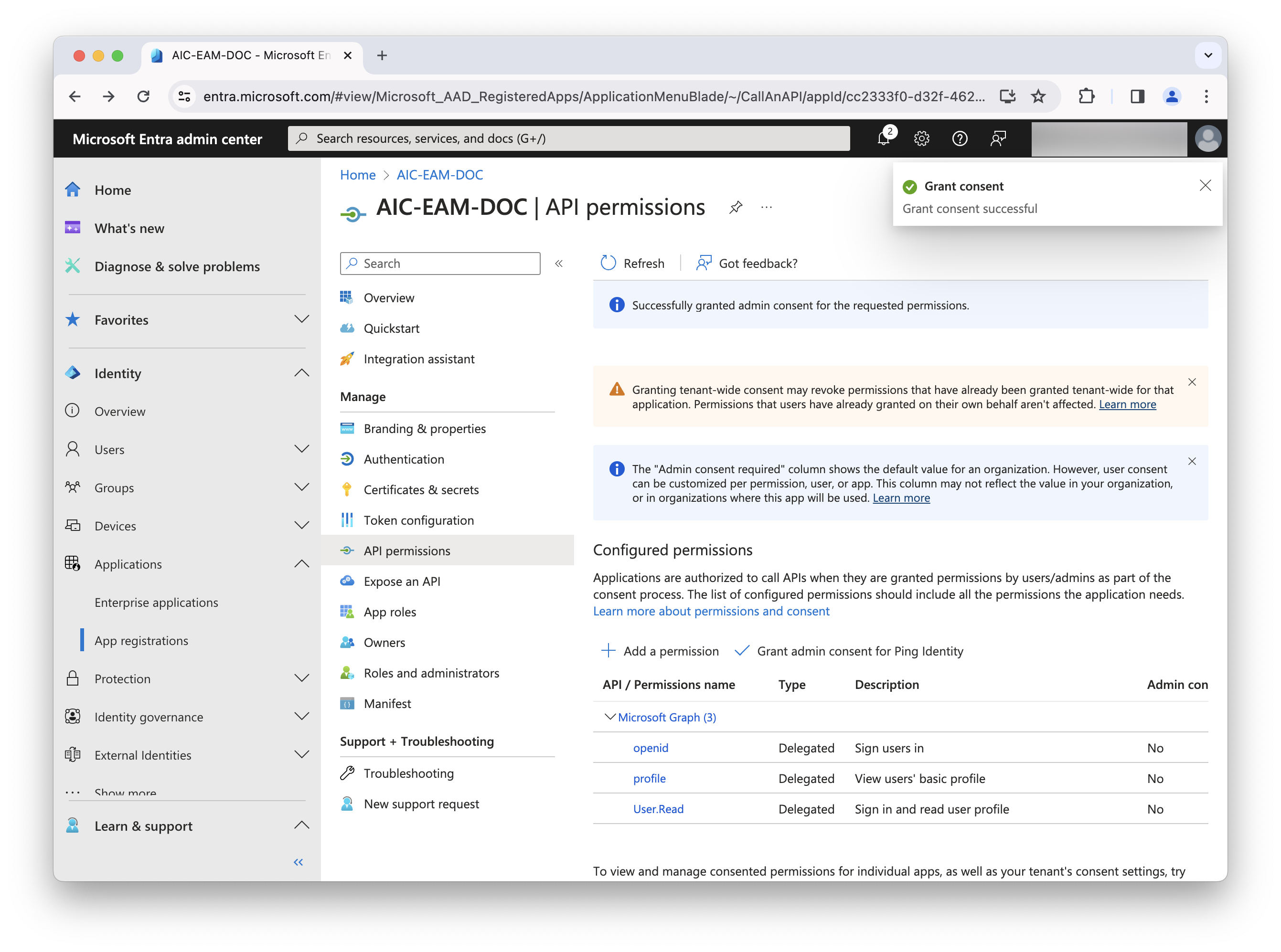 Delegated Permissions after grant