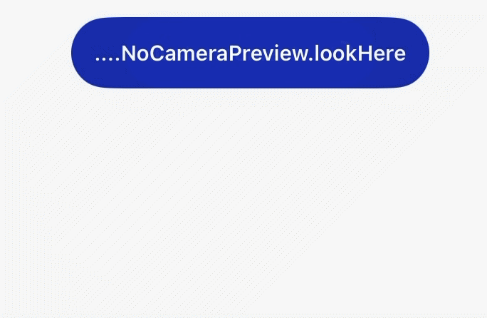 PingOne Recognize camera preview error.