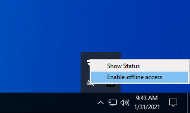 Enable offline access