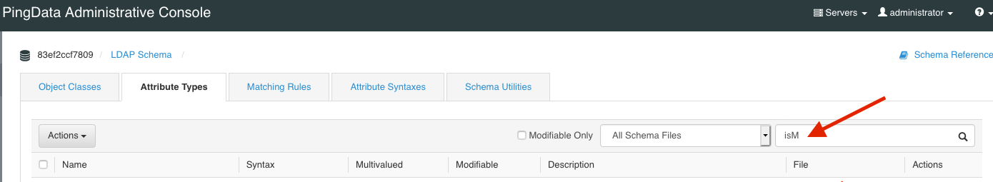 A screen capture of the PingData Administrative console LDAP Schema section. The Attribute Types list is being filtered by entering 