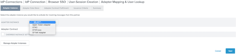 Screen capture of the Adapter Instance tab, showing the Adapter Instance list expanded.